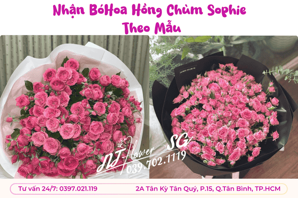 Hoa Hồng Chùm Sophie